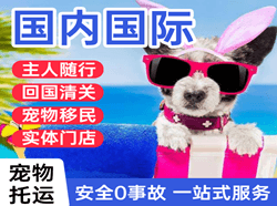 合肥新桥机场物流国际宠物托运 【国
